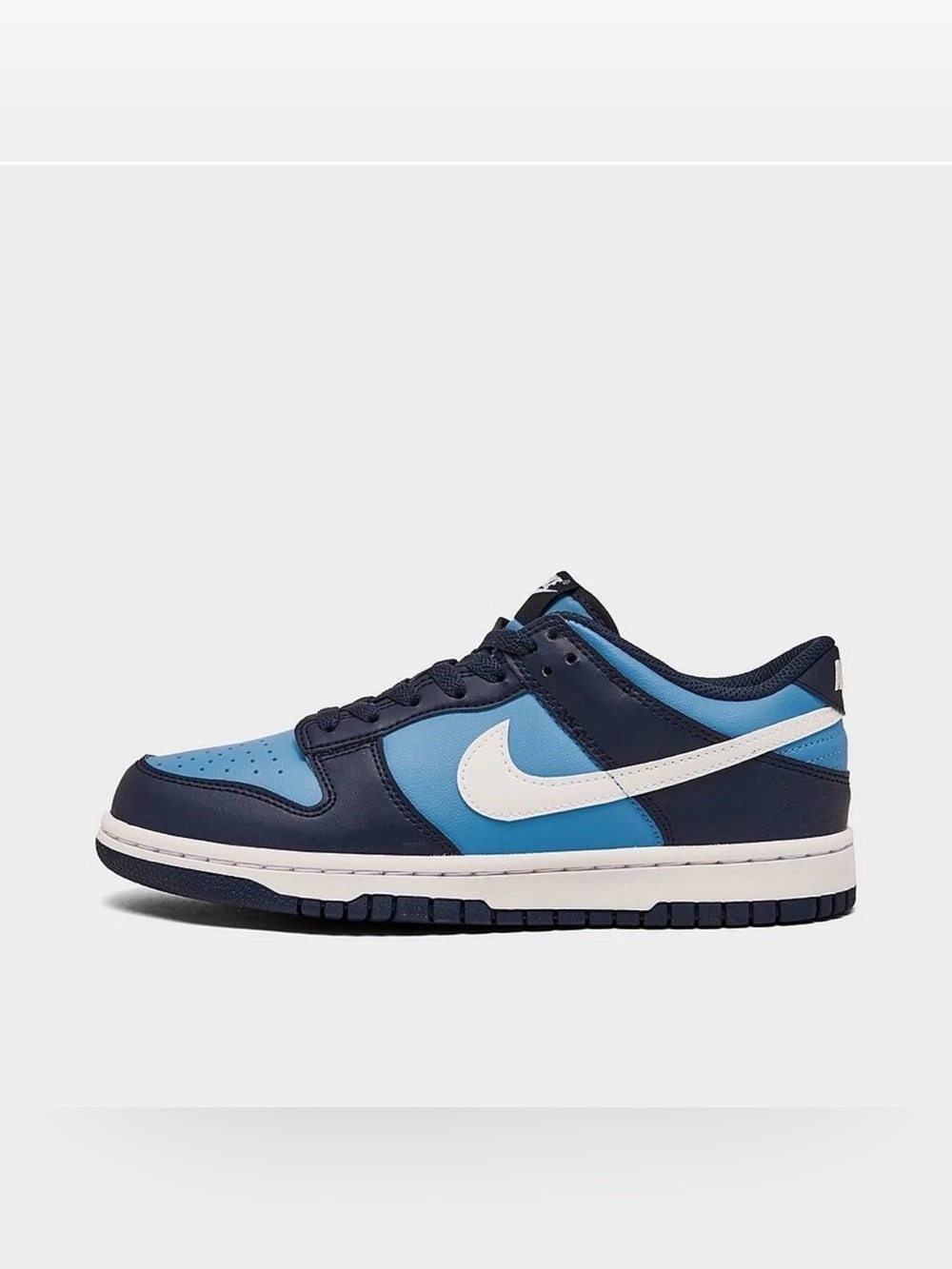 NIB Big Kid GS Nike Dunk Low HF0031 400 University Blue White